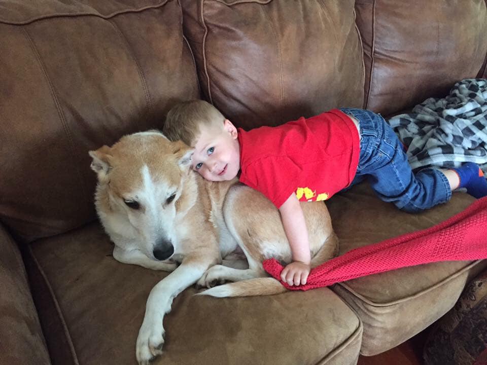 62364378_10108106165900413_6428161841209278464_n